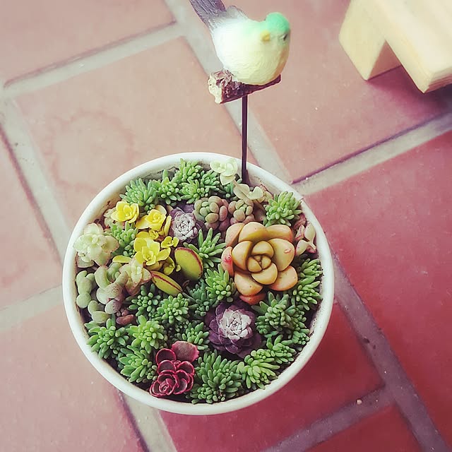 rhuさんの実例写真