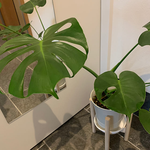 h_home.hさんの実例写真