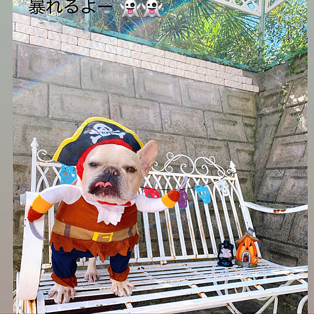 creamdaifukuさんの実例写真
