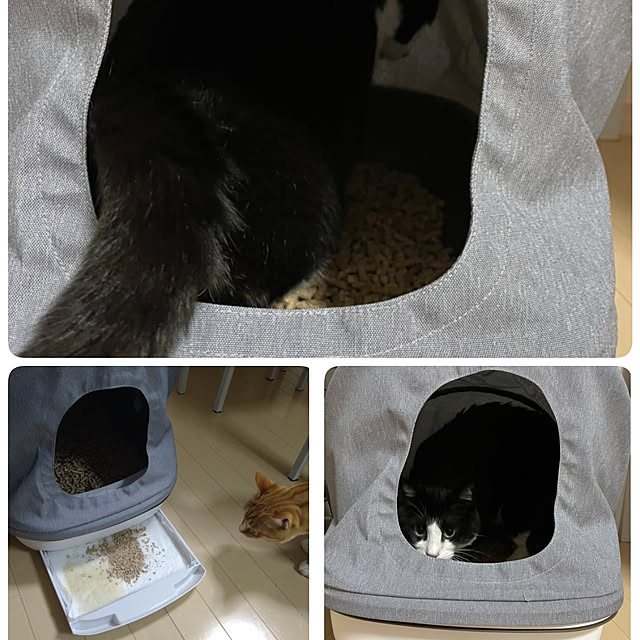 koromaroさんの実例写真