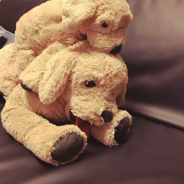 ROSSYさんの実例写真