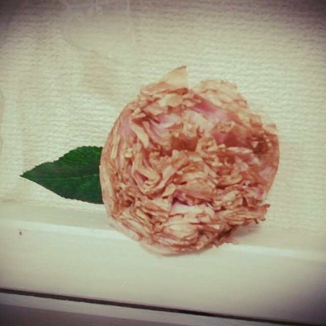 Kumikoさんの実例写真