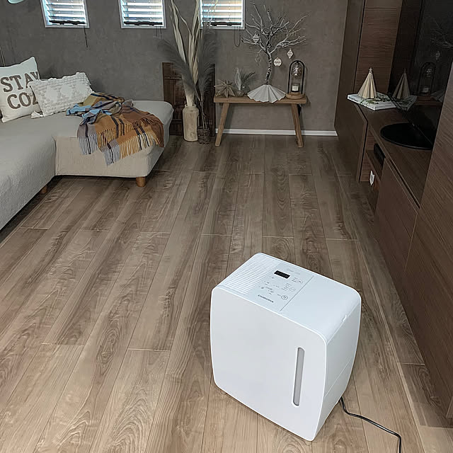 Dublingoさんの部屋