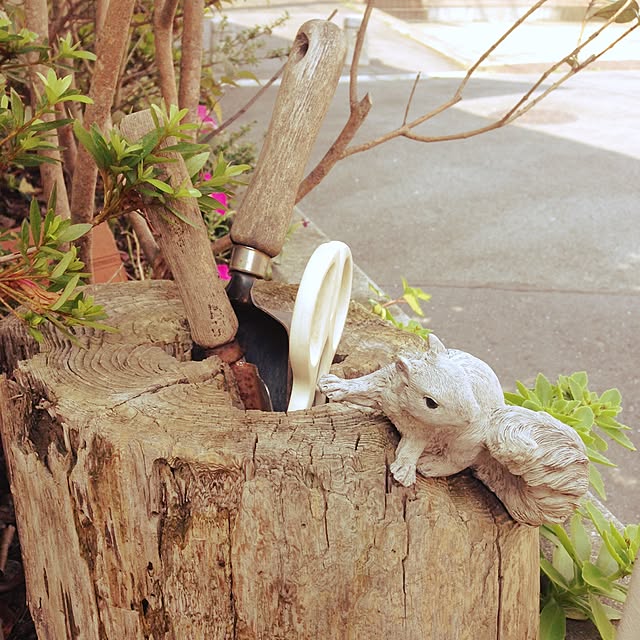 naja..bmさんの実例写真