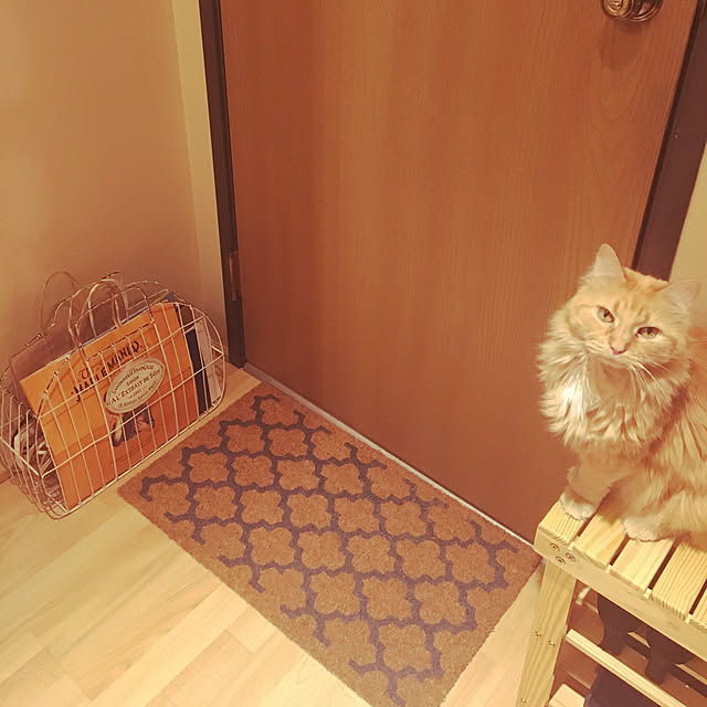 Keiさんの実例写真