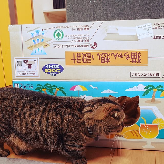 noguriさんの部屋