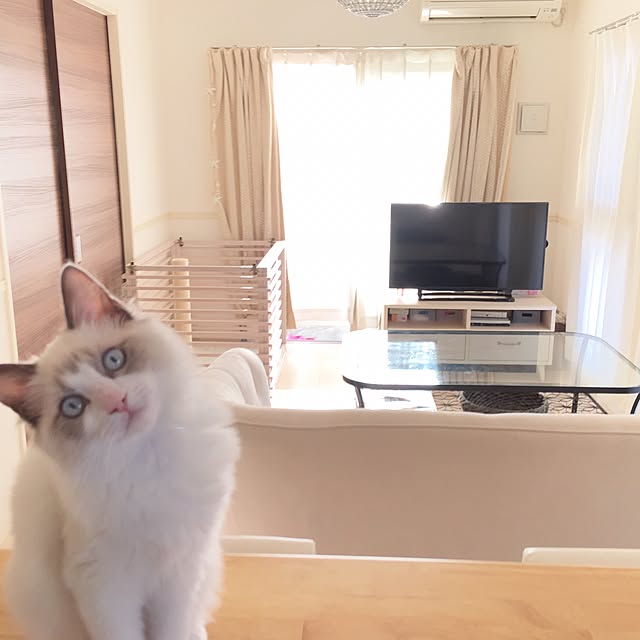 kanaさんの実例写真