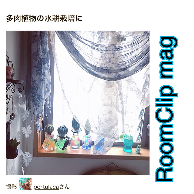 portulacaさんの実例写真