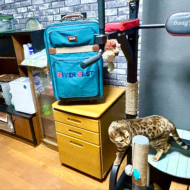 tututu0204さんの部屋