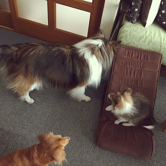 erumaryさんの実例写真