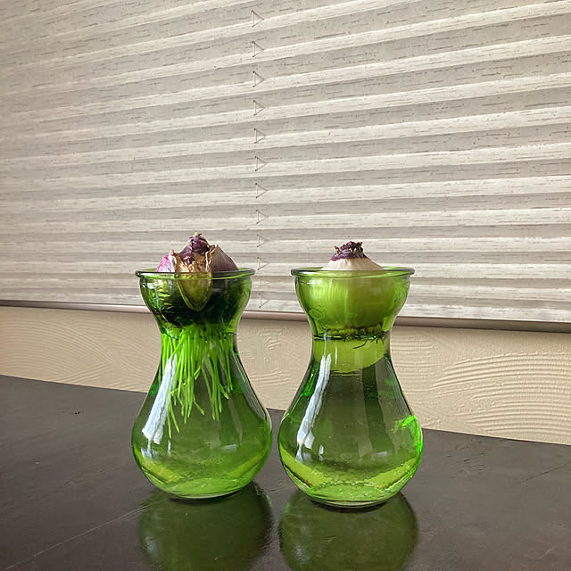 goeさんの実例写真