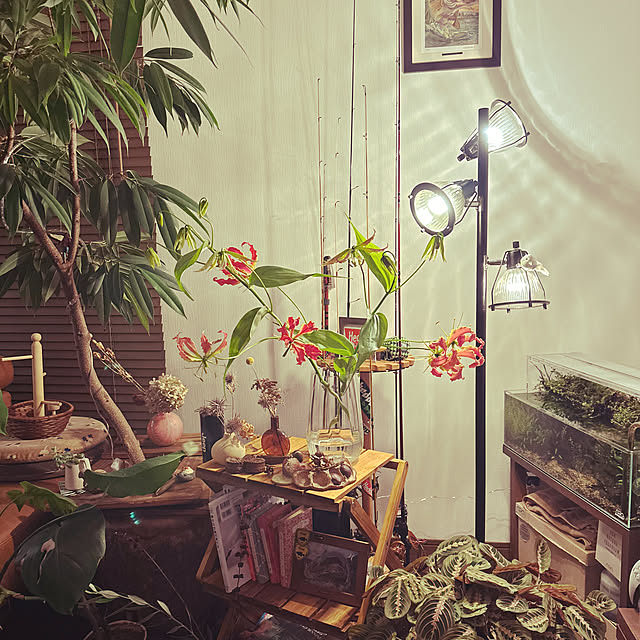リビング/観葉植物/照明/花のある暮らし/カフェ風...などのインテリア実例 - 2024-01-01 20:59:03