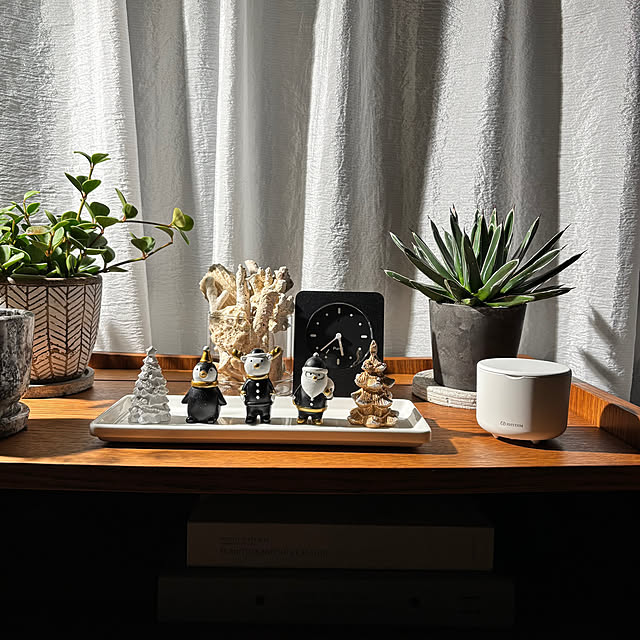 kyoko1124koさんの部屋