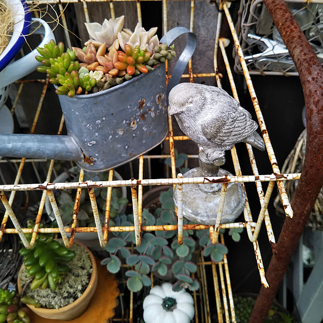 yukkoさんの実例写真