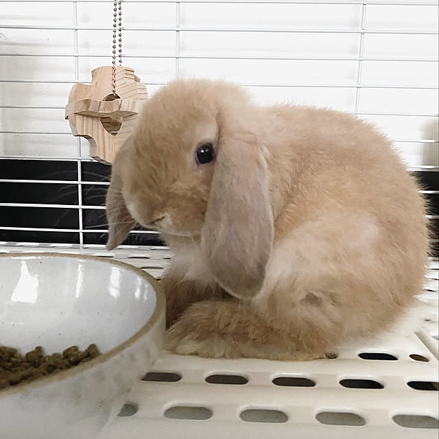 chiiiii0808さんの実例写真