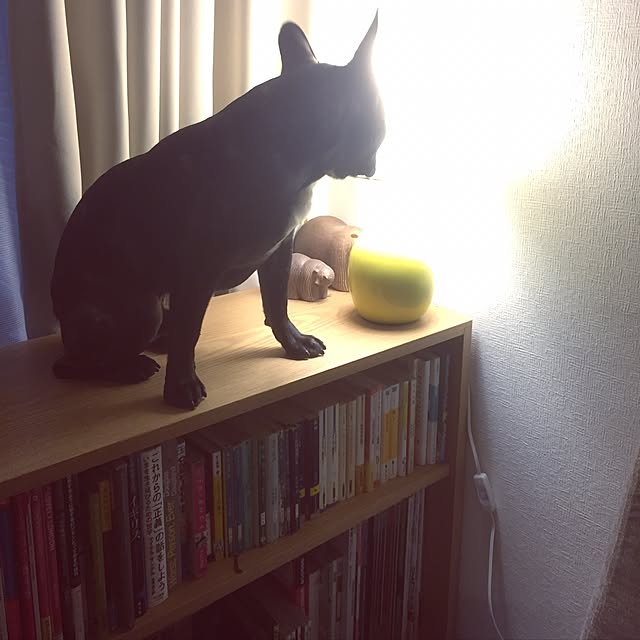 haruyaccoさんの実例写真