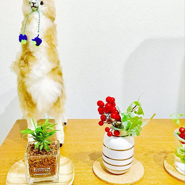 sou-starさんの実例写真