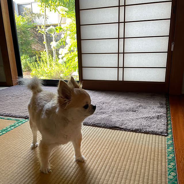 natsumiさんの部屋