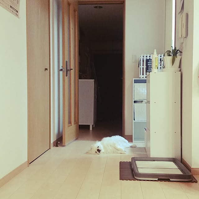 yukaiさんの実例写真