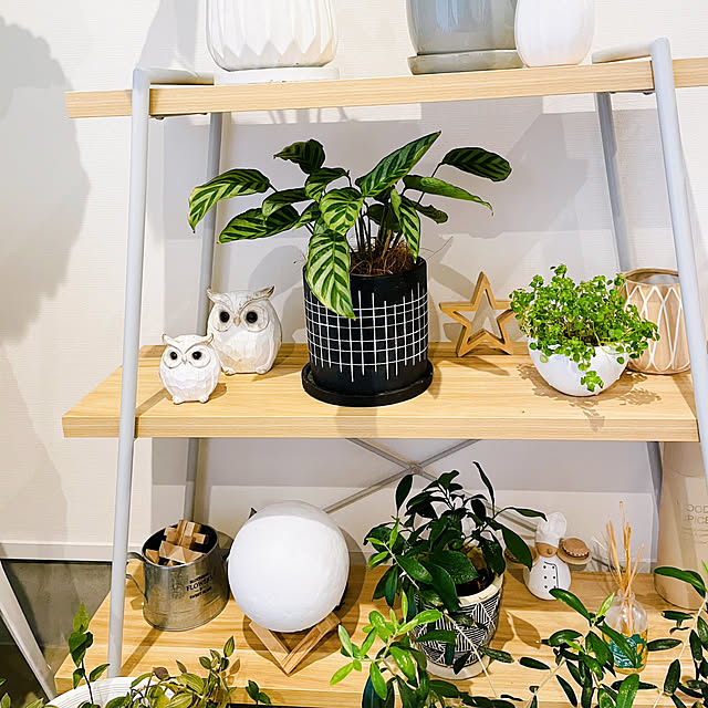 YUKOさんの部屋