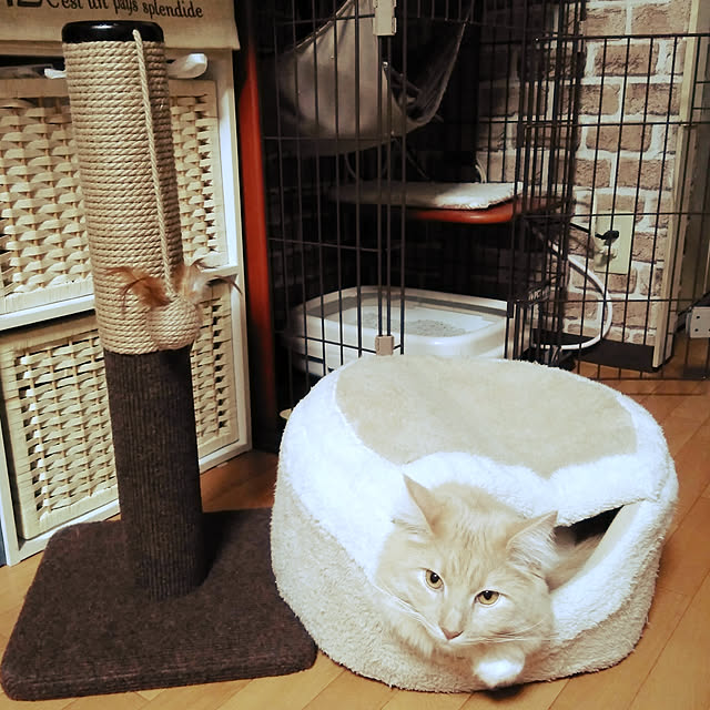 koto.ohanaさんの実例写真