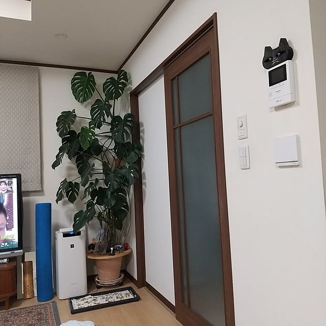 totokoさんの実例写真