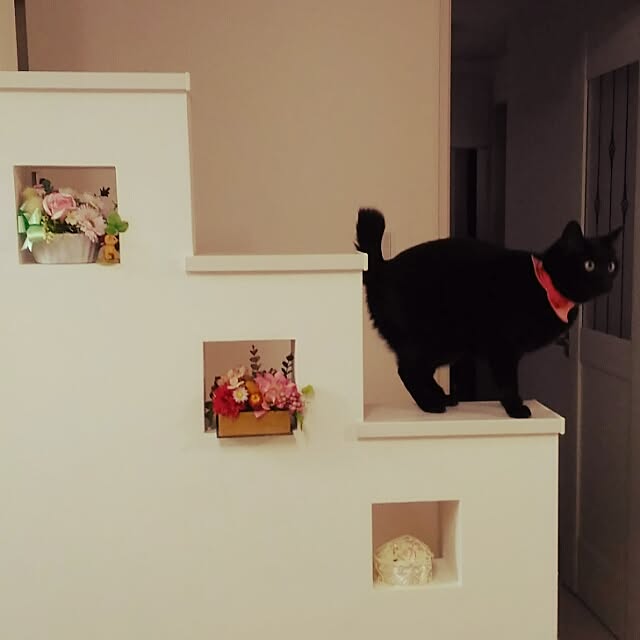 kuuaさんの実例写真