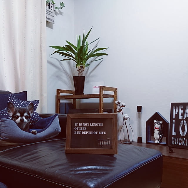 lovepeaceさんの実例写真