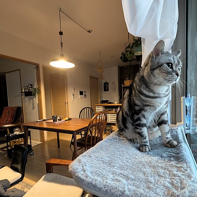 lovepeaceさんの実例写真