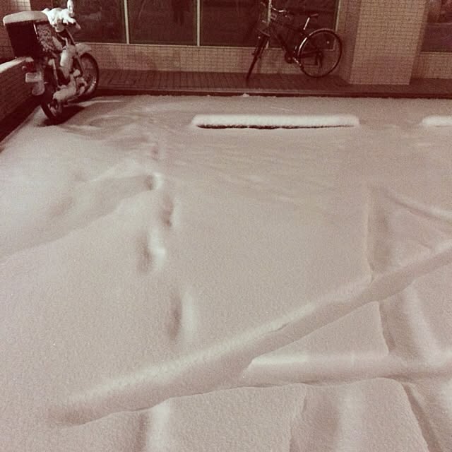zutanさんの実例写真