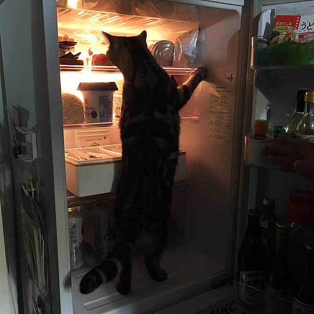 mikomaruさんの実例写真