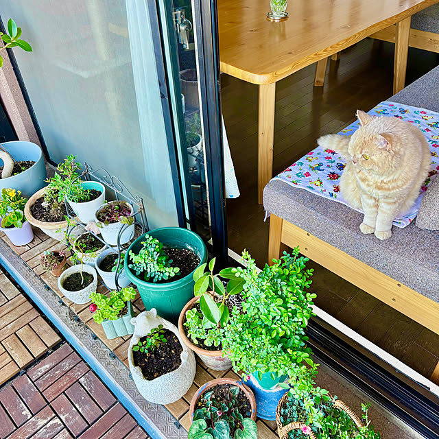 naokoさんの部屋