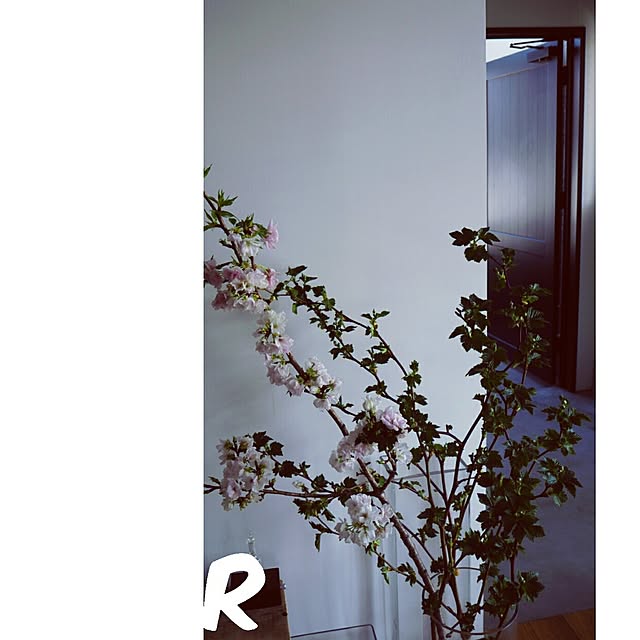 raujikaさんの実例写真