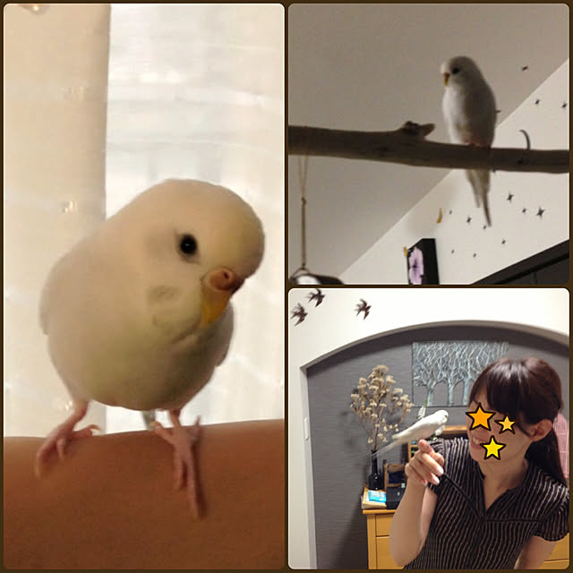reko639さんの実例写真
