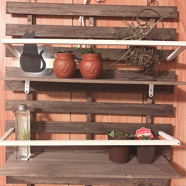 壁/天井/DIY/セリア/100均/観葉植物...などのインテリア実例 - 2019-02-07 21:14:06