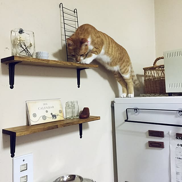 latteさんの実例写真