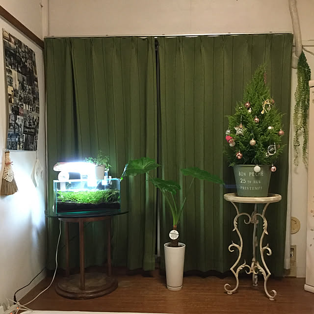 rinさんの実例写真