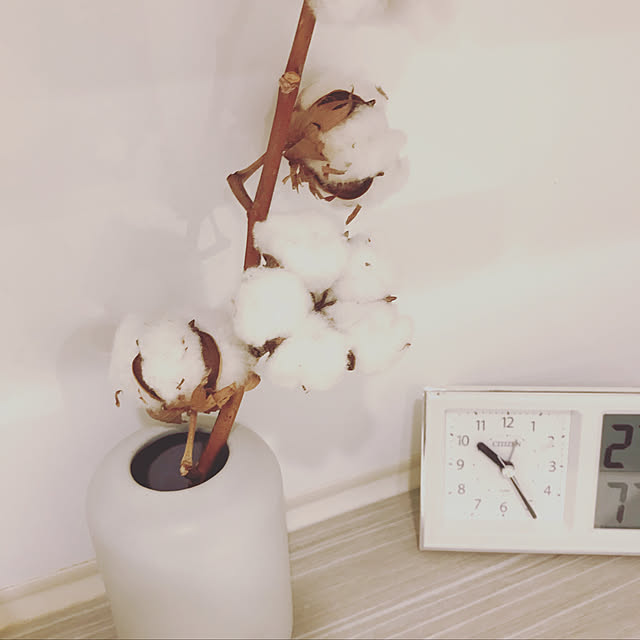 botanical_fieldさんの実例写真