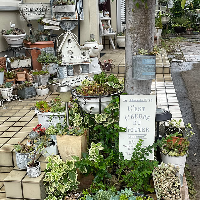 burgundy.roseさんの部屋