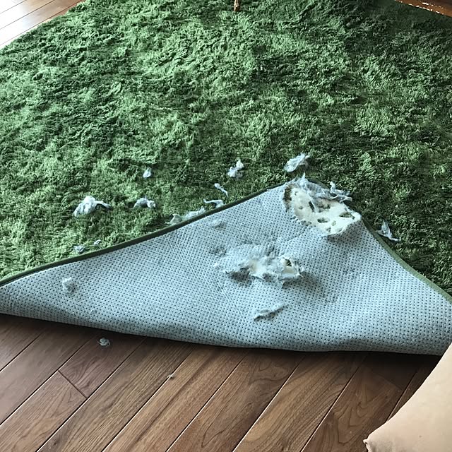 lag_1001さんの実例写真