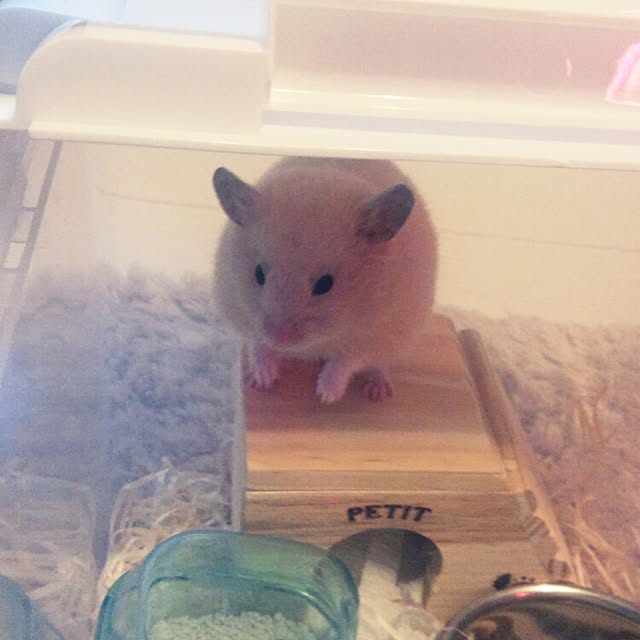 ty1188さんの実例写真