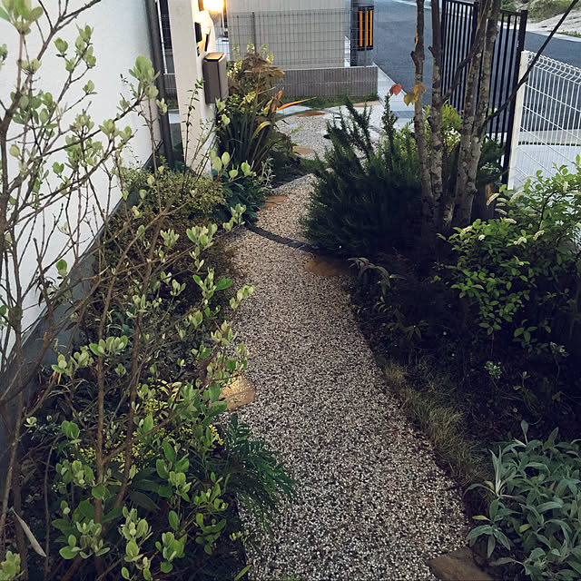 maiさんの実例写真