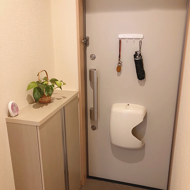 RanRanさんの実例写真