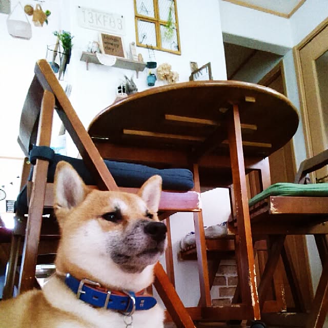 kotaさんの実例写真