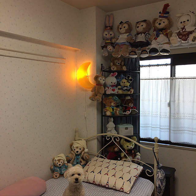 toy poohさんの実例写真