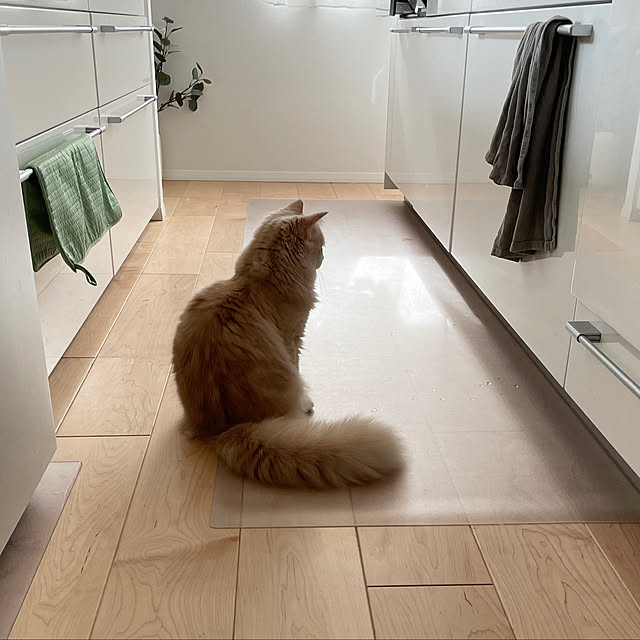 kさんの部屋