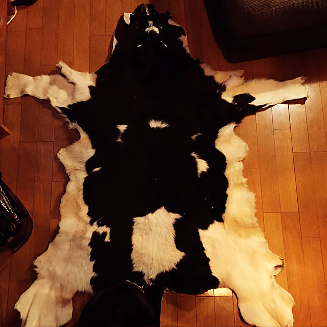 masarianさんの実例写真