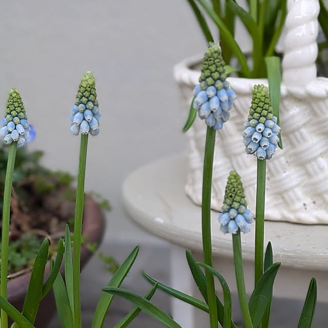 Rさんのお部屋の写真