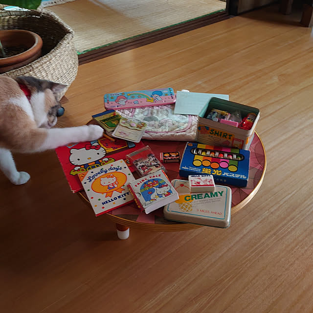 fukuさんの実例写真