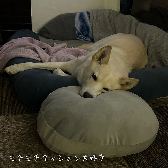 tanboさんの部屋